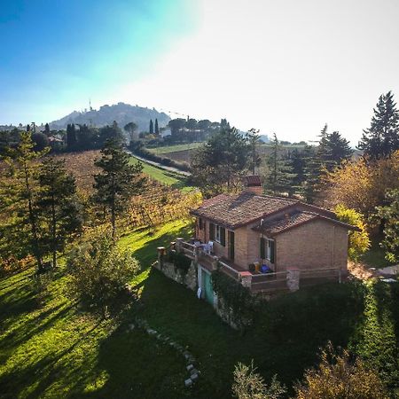 Il Vigneto Cottage Bertinoro Dış mekan fotoğraf