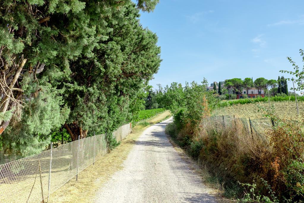 Il Vigneto Cottage Bertinoro Dış mekan fotoğraf